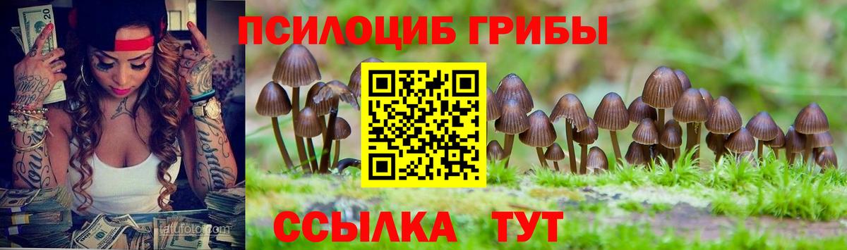 Галлюциногенные грибы ЛСД  Псилоцибиновые грибы Psilocybe  Белгород  Вход с VPN 